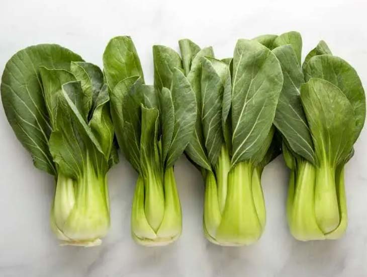 Bok Choy